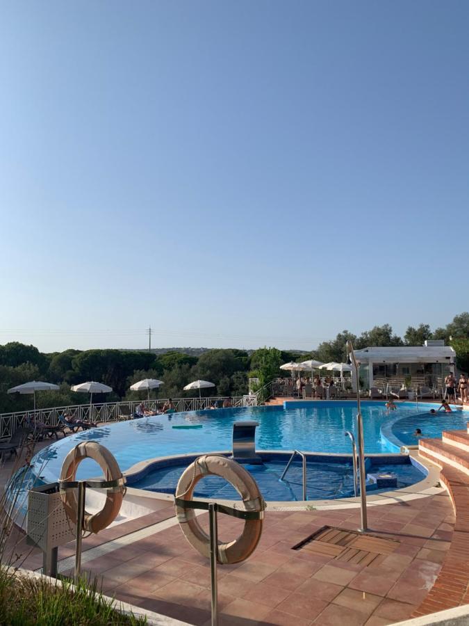Dans Hoteliere De Gamme *